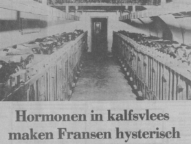 “Hormones in veal make the French hysterical”, the Dutch daily NRC wrote on 1 October 1980 